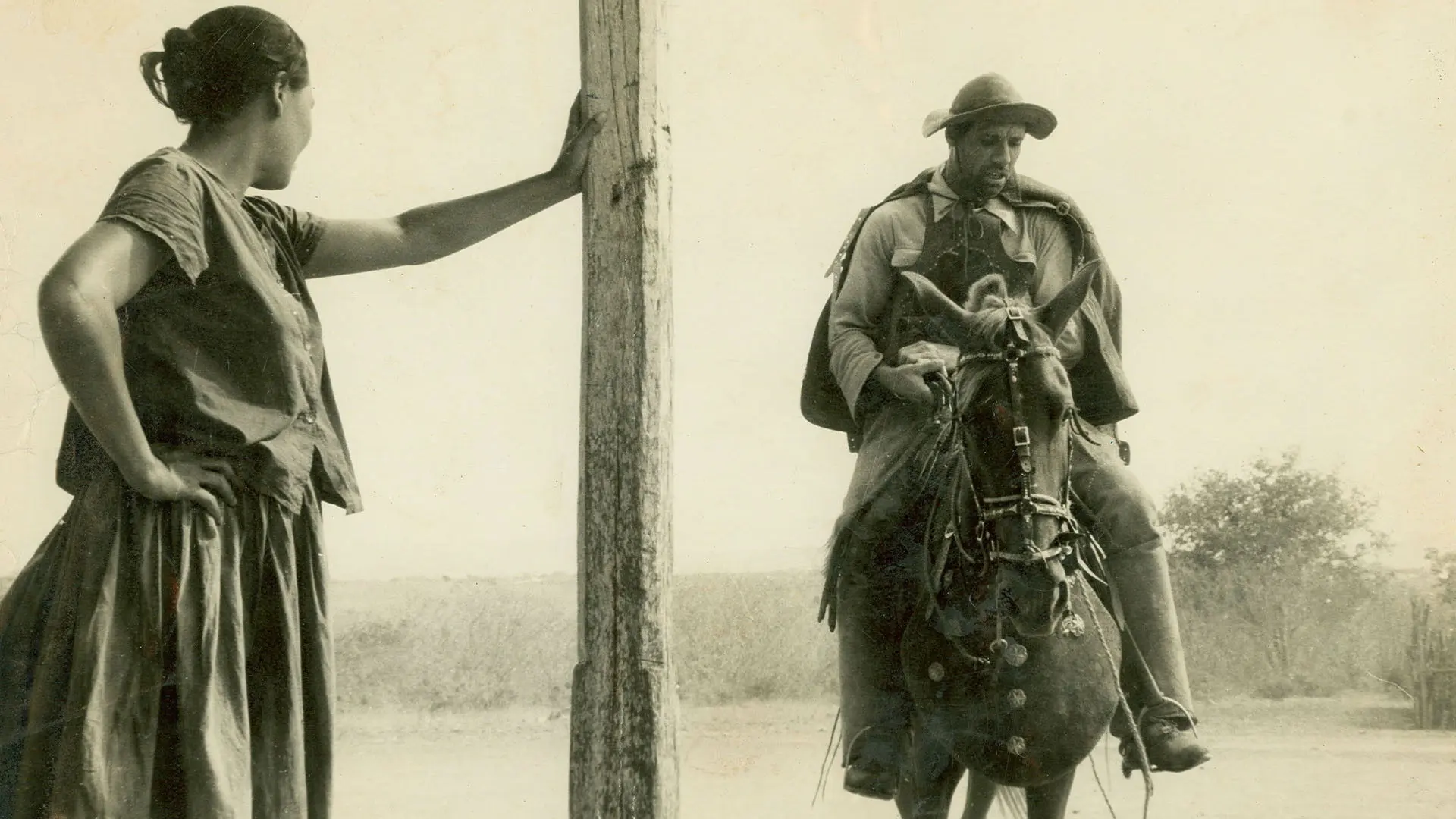 Barren Lives backdrop