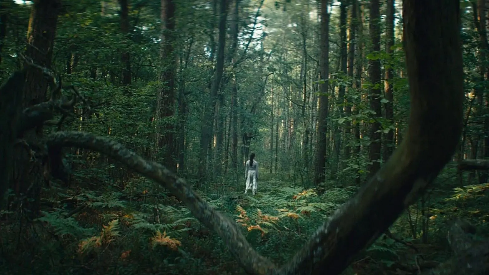 Ambition: Epilogue backdrop