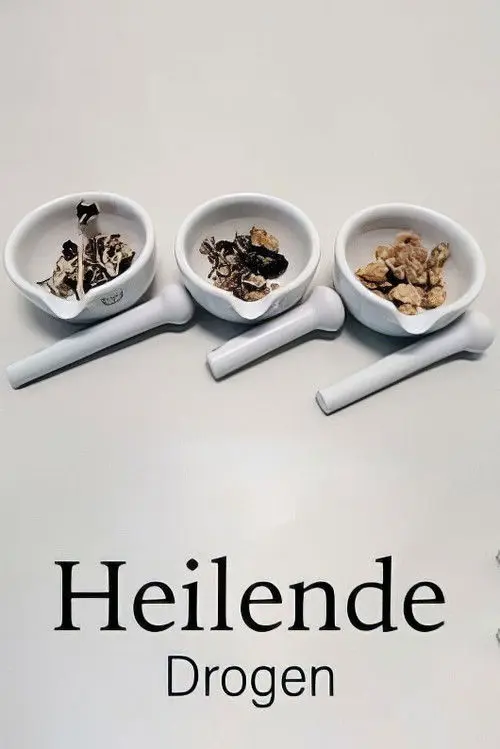 Drugs that Heal: Could Psychedelics Treat Depression?