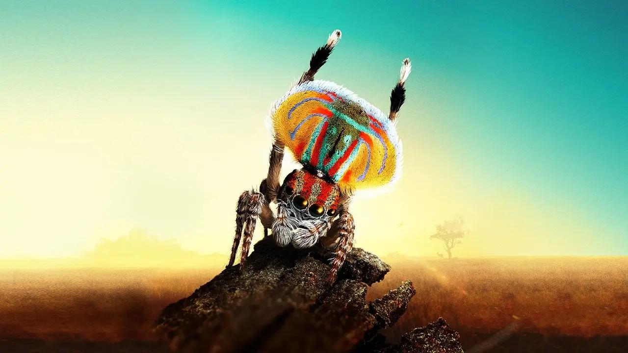 Magical Land of Oz backdrop